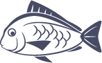 魚イラスト②