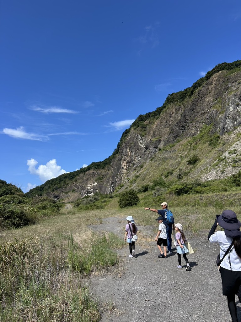 化石の画像